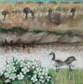 Evening with geese and hydrangeas